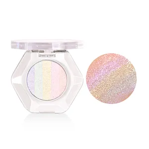 Nhãn hiệu riêng 5 trong 1 Vegan tàn ác miễn phí sắc tố ánh sáng lung linh trang điểm Highlighter Tắc Kè Hoa Eyeshadow