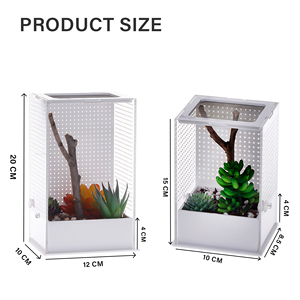 Carcasa acrílica personalizada de alta calidad para insectos y reptiles, caja pequeña transpirable para cría de <span class=keywords><strong>tarántulas</strong></span> y arañas saltadoras - Product Image 2