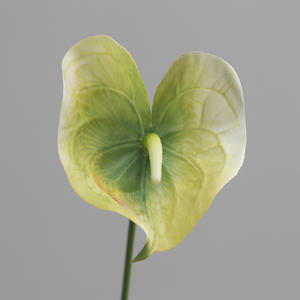 زهور أنثوريوم صناعية حديثة زينة للزفاف زهور أنثوريوم خضراء بالجملة زهور أنثوريوم تعمل باللمس الحقيقي - Product Image 5