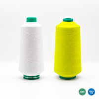 Hilo de Nailon Teñido en Masa Ecológico 70D/24F DTY, Resistente a la Decoloración, Alta Uniformidad de Color para Ropa Deportiva