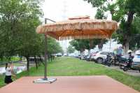 Parasol de meubles de 38mm, parapluie de jardin extérieur, marché de gros de la chine, personnalisé, solide, en aluminium, facile à ouvrir, parapluie pliant