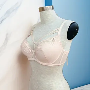 Ropa Sexy para Mujer Talla Grande, Lencería Bordada, Sujetadores para Senos Grandes, Ropa Sexy al por Mayor para Mujer - Product Image 1