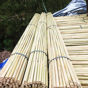 Bâton de <span class=keywords><strong>bambou</strong></span> pour jardin, matières premières pour la fabrication de pots à fleurs, les pots <span class=keywords><strong>en</strong></span> <span class=keywords><strong>bambou</strong></span> populaires sont utilisés pour la plantation et la décoration - Product Image 4
