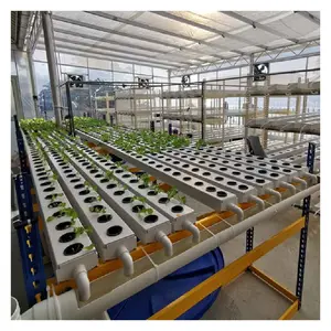 Indoor Hydroponics Farming leafy vegetable lettuce herb Plants grow system