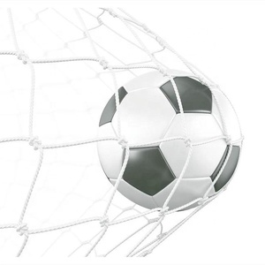 But de terrain de football en acier <span class=keywords><strong>professionnel</strong></span> MCG avec filet pour terrains de football - Product Image 5