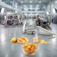 Automatische aardappelchipsmachine met centrifugale ontvettingsunit voor gezondere aardappelchips met een laag oliegehalte
