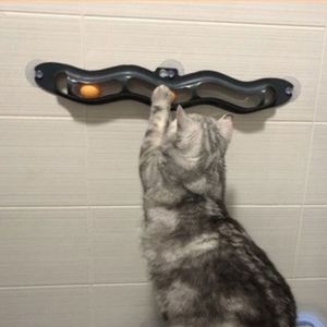 Moderno gatto e cane Pet <span class=keywords><strong>Ball</strong></span> giocattolo di plastica ventosa Windows Track Play simpatico stile giocattolo - Product Image 3