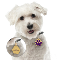 Plaque d'identification personnalisée pour chien, mode pour petits chiens, accessoires pour animaux de compagnie en strass, empreinte de patte, plaque de nom, décoration de collier