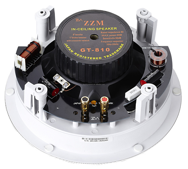 High Quality GT-810  8-Inch Ceiling Speaker  80W Passive Public Address System