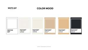 Abito <span class=keywords><strong>da</strong></span> sera elegante grigio <span class=keywords><strong>argento</strong></span> con scollo a V a forma di sirena per donna 2024 <span class=keywords><strong>da</strong></span> <span class=keywords><strong>sposa</strong></span> Sexy <span class=keywords><strong>abiti</strong></span> <span class=keywords><strong>da</strong></span> festa - Product Image 3