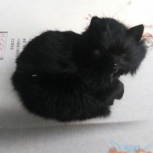 批发仿真九尾狐模型 - 毛绒玩具，创意小狐狸摆件，白色狐狸装饰品，适合家居和礼品 - Product Image 3