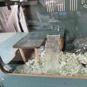 Plataforma de Escalera Multifuncional para Hámsteres, Juguete Acrílico Decorativo, Jaulas, Suministros para Paisajismo, Escalera para Escalar - Product Image 3