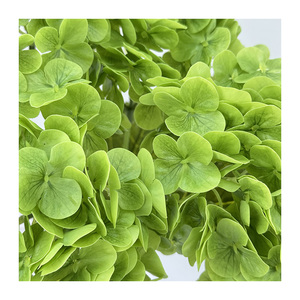 ดอกไม้ประดิษฐ์สำหรับตกแต่งงานแต่งงานที่บ้านดอกไม้ประดิษฐ์ดอกไฮเด<span class=keywords><strong>รน</strong></span>เยียขนาดใหญ่พร้อมใช้งานออนไลน์ - Product Image 5