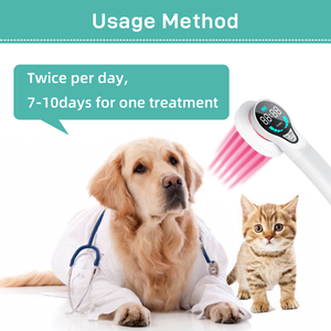 Kalt laser Katzen Hunde therapie Arthrose Degenerative Gelenk krankheit Rehabilitation gerät für Haustiere Gesundheits wesen - Product Image 5