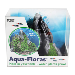 Décoration en résine Penn <span class=keywords><strong>Plax</strong></span> Aqua Floras avec graines de plantes Glosso intégrées - Product Image 1