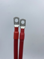 Câble de batterie à borne en cuivre pur, isolé en silicone, pour onduleur, UPS, stockage d'énergie, connexion électrique, disponible en plusieurs tailles