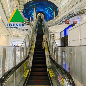 Escaleras Mecánicas Verticales HYUNDAI para Centros Comerciales, Precio de Fábrica, Escalones para Interiores y Exteriores - Product Image 4