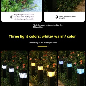 Luz LED Solar para Jardín, Resistente al Agua IP65, Decorativa, para Exteriores, Venta al Por Mayor - Product Image 5