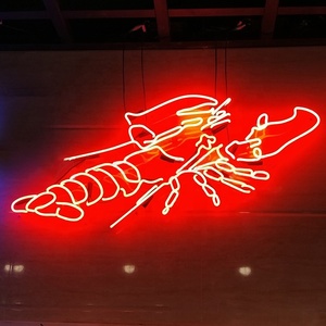 Insegna Luminosa Digitale Signvia per Firma Elettronica di Documenti Immobiliari con Display LED Neon (Statico/Lampeggiante/ Scorrevole) - Product Image 2