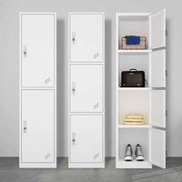 Armoire de mezzanine en acier, armoire en fer sur mesure, casier métallique à porte simple pour vêtements, rangement pour salle de sport, mobilier pour bureau et maison