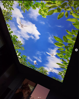 Film de plafond tendu en PVC rectangulaire en aluminium, largeur 1,5-5 m, prêt à l'emploi, faible MOQ, membrane de plafond souple, vente en gros pour les détaillants