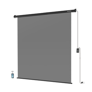 RAUBAY Motorized Pull Down Gray Screen Backdrop-78.7" x 86.6" Collapsible Wall-Mount Background Professional Content Production - Product Image 1