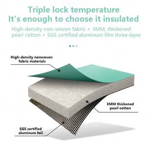 KAISEN Thermal Insulation <b>Bag</b> <b>Cooler</b> <b>Bags</b> Custom logo <b>Insulated</b> Cake Aluminum Foil <b>Insulated</b> Non Woven <b>Cooler</b> <b>Bag</b> - Product Image 5