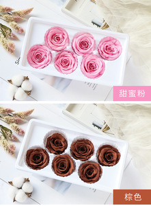 Éternel Enchanté Infini Éternité Éternel Pour Toujours Éternel Préservé Rose Tête 6 Préservé Rose Tête Réel 5cm - Product Image 2