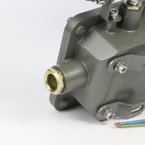 ATEX chống cháy nổ khẩn cấp ánh sáng an toàn thoát khẩn cấp ánh sáng 2*3W đôi đầu nổ bằng chứng ánh sáng - Product Image 6