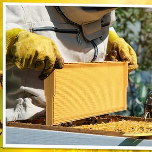 Paquete <span class=keywords><strong>de</strong></span> 10 láminas <span class=keywords><strong>de</strong></span> plástico amarillo para base <span class=keywords><strong>de</strong></span> colmena - Láminas <span class=keywords><strong>de</strong></span> cera para fundaciones <span class=keywords><strong>de</strong></span> cría profunda para colmenas Langstroth - Product Image 5