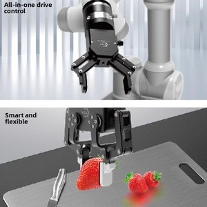 Mano Robótica Biónica Flexible con Motor de Actuador Lineal Eléctrico, Caja de Engranajes y PLC para Automatización Industrial - Product Image 6