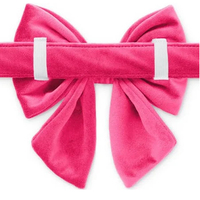 Noeud papillon en velours de luxe pour chiens et chats - Halloween, Noël, été - Couleur unie - Personnalisable - Écologique - Durable