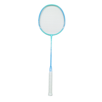 Raquette de badminton de qualité professionnelle, en acier, avec manche en PU léger, de haute qualité, durable, pour joueurs avancés, entraînement en intérieur/extérieur
