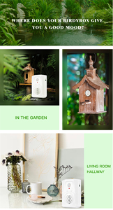 Bán Buôn Tùy Chỉnh Chim Âm Thanh Hộp Nhạc Pir Hồng Ngoại Phát Hiện Chuyển Động Kích Hoạt Chim Bài Hát <span class=keywords><strong>Player</strong></span> Với Ghi Âm - Product Image 3