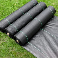 Tissu tissé en polyéthylène 90GSM 100G PP Géotextile Tapis de mauvaises herbes Barrière de couverture de sol Tissu de paysage tissé