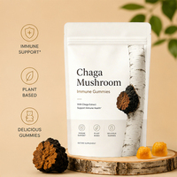 Gummies Chaga pour adultes, faibles en sucre, antioxydants et favorisant un métabolisme sain du glucose, marque privée OEM