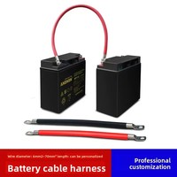 Câble de raccordement basse tension en cuivre personnalisé avec isolation en PVC et gaine en PU, indice de protection IP68, 10A 500V pour chargeur de batterie de voiture, chariot élévateur