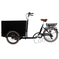 Bicicleta de carga holandesa con caja familiar, bicicleta de carga eléctrica de 3 ruedas a la venta