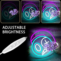Anime Cartoon Astro Neon Sign Dimmable LED Horror Game Cartoon Neon Sign USB Powered Advertising Remote Control IP65 Waterproof