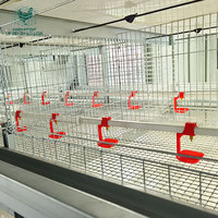 Système de cages en batterie automatiques de type H pour poulettes, cage de poulailler durable pour poussins d'un jour pour l'élevage avicole