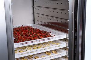 15-30 ℃ nhiệt độ thấp hải sản dehydrator & thực phẩm khô máy năng lượng hiệu quả trái cây Máy sấy khử nước lò - Product Image 6