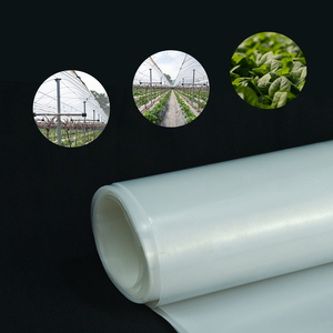 Serre de Jardin Transparente en LDPE à Couche Unique Grande Taille, Vente Directe Usine, Couleur Personnalisée, Certifiée ISO9001, Design Attrayant - Product Image 2