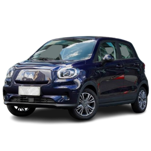 Véhicules électriques à succès, Leapmotor T03 <span class=keywords><strong>2021</strong></span>, 403 km d'autonomie, mini-voiture électrique, zéro émission, faible kilométrage, voiture d'occasion - Product Image 1
