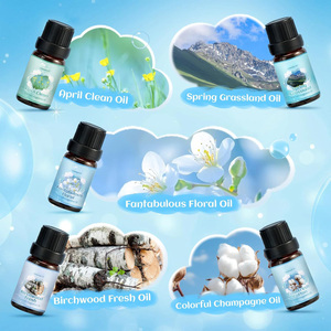 Lot de 10 échantillons d'huiles parfumées Clean Pro, éco-responsables, naturelles, longue durée, senteur fraîche et fruitée, pour l'approvisionnement direct usine - Product Image 2