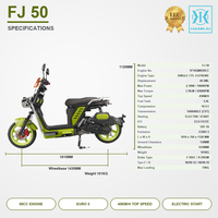 Scooter à essence 50CC, cyclomoteur, moto, 2,1 kW, Euro 5, EFI, 45 km/h, CVT, démarrage électrique, frein à disque avant, utilitaire FJ50