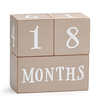 Ensemble de blocs de construction en bois pour enfants Neture WB066, thème animaux et nature, pour 0-24 mois, boîte de jeu DIY