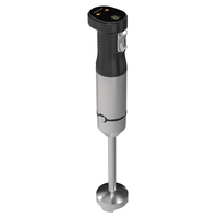Nouveau mixeur multifonctionnel à deux vitesses variables, mixeur plongeant électrique haute vitesse, ensemble de mixeur à main en acier inoxydable