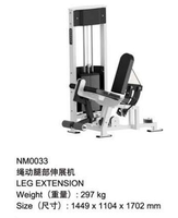 Machine de musculation professionnelle en acier inoxydable pour extensions de jambes avec pile de poids de 75 kg
