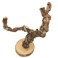 Perchoir à griffes en écorce de vigne naturelle pour perroquets, support durable pour le nettoyage des griffes, avec base, pour calopsites, perruches, décoration de cage