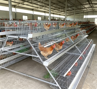 Cage à batterie de type A, taille personnalisée OEM disponible, soudure stable, équipement d'élevage avicole